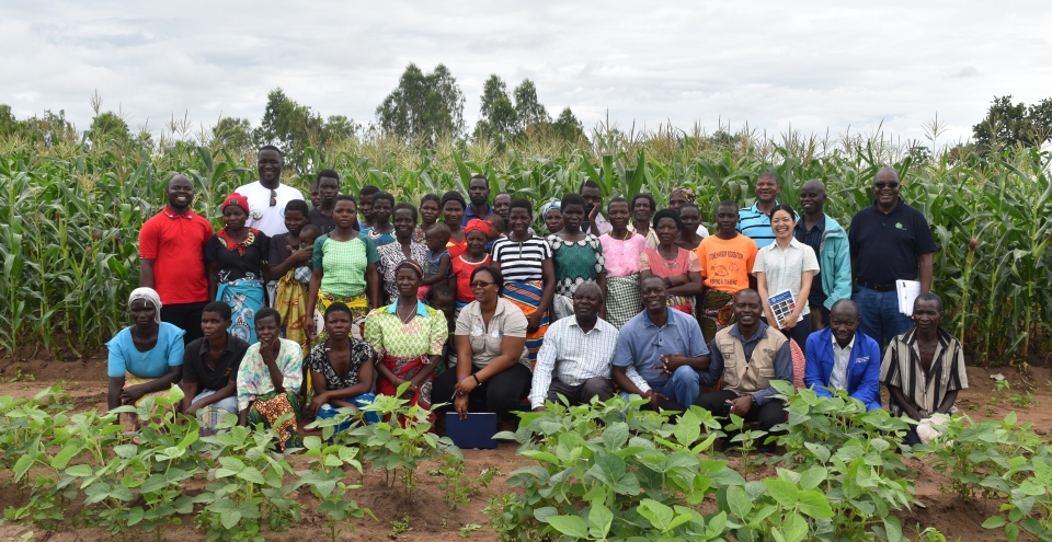 Learning from the Maluwa Farmers in Malawi to beat Fall Armyworm